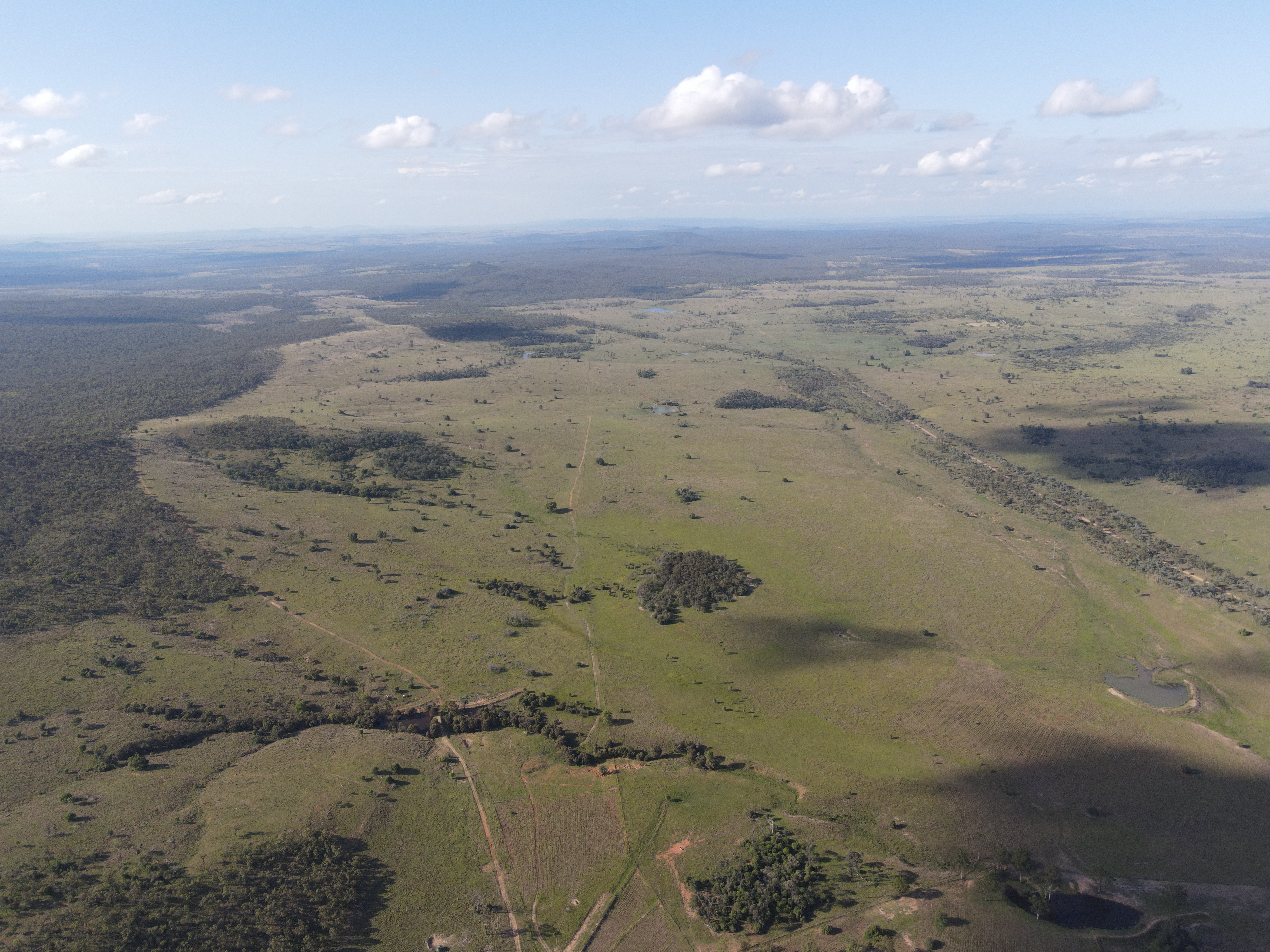 DJI_0499.jpg